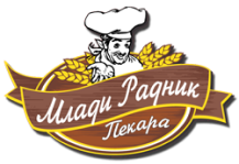 Mladi radnik D.O.O. Kraljevo logo
